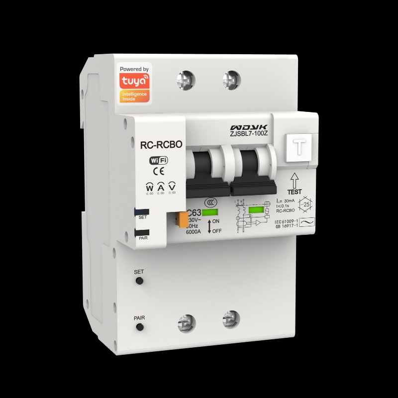 Smart Circuit Breaker With Monitoring-TW1L-2P