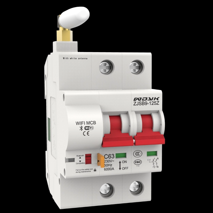 eWelink WIFI Circuit Breaker-EW0-2P
