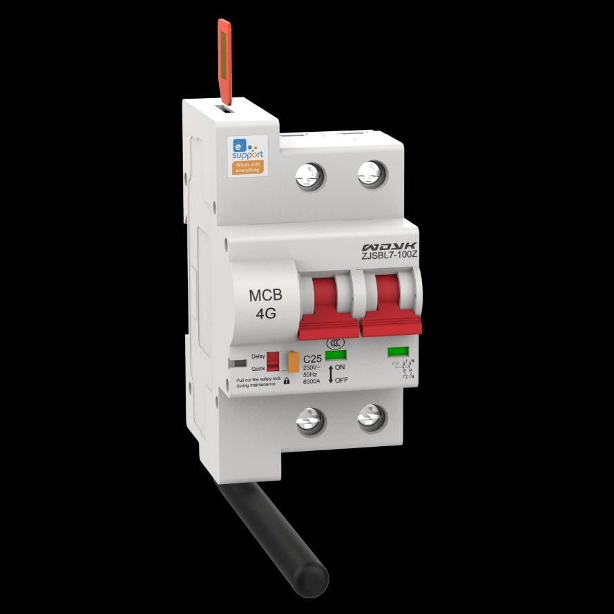 4G Remote Control Circuit Breaker-T40-2P